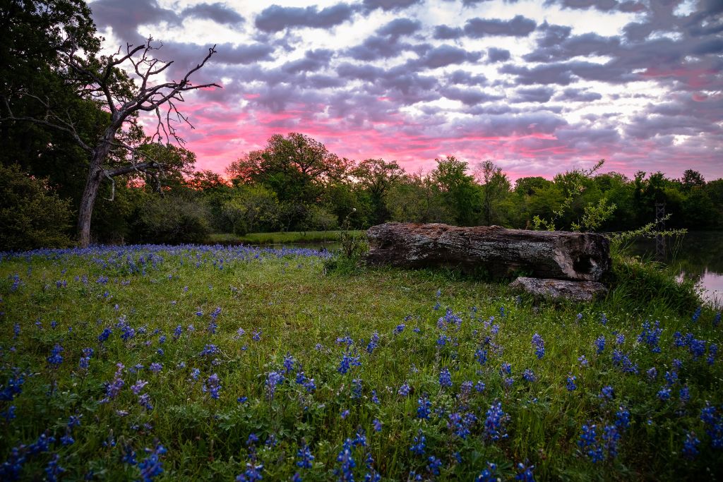 Texan Naturism Unveiled